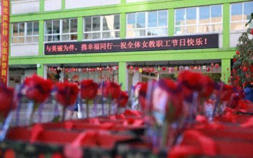 温州小学教育排名前十(温州好的小学排名一览表)插图15
