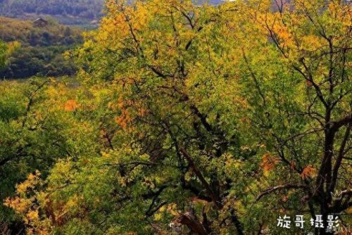随州地区景点排名前十(随州烧烤十大排名)插图19