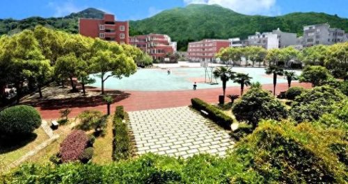 温州小学教育排名前十(温州好的小学排名一览表)插图25