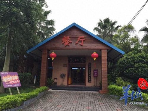 花都餐厅平价排名前十(花都平价民宿推荐)插图6