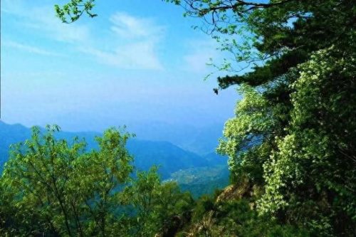 秦岭公园面积排名前十(西安秦岭三大公园)插图4