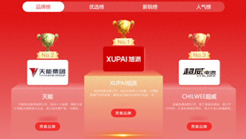 十大电瓶摩托车品牌排行榜(电瓶十大品牌排名大全)插图5