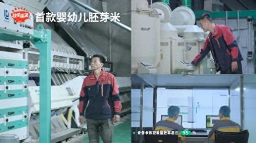 宝宝胚芽米十大品牌排行榜(婴儿吃胚芽米好不好)插图3