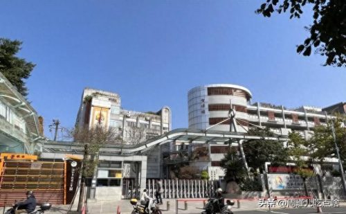 福建小学面积排名前十(福建私立小学十大排名)插图5