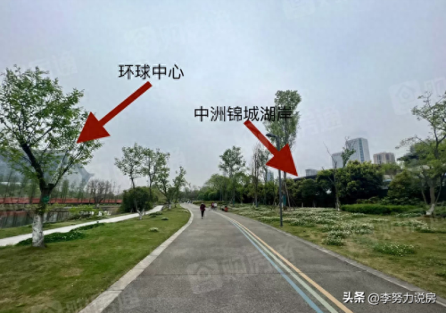 成都新建别墅十大排行榜(成都房产别墅)插图8