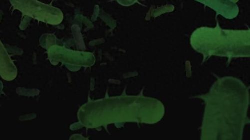十大新型冠状病毒排行榜(阿比多尔片对新型冠状病毒有效吗)插图7
