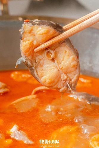 特色鱼火锅排名前十(中国鱼火锅十大排名)插图1