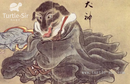 十大好养宠物龟排行榜(正确养龟方法)插图6