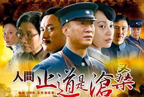 十大优秀战争电视剧排行榜(春桃的战争电视剧全集免费)插图6