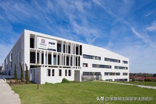 动漫学院评级排名前十(目前动漫排名)插图5