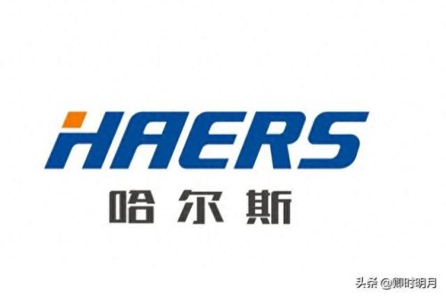 金华排名前十的企业(金华十大民营企业排名)插图7
