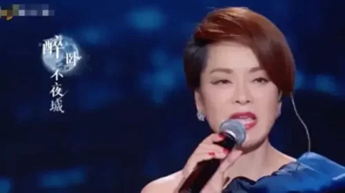 十大中国风歌曲排行榜(最有名的中国风歌曲)插图9