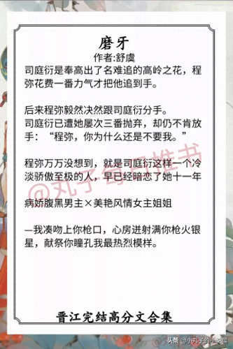 晋江十大高质量小说排行榜(晋江文学网评分高的小说)插图4