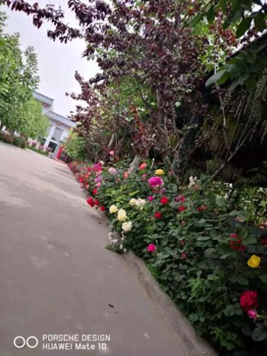汾阳订婚酒店排名前十(汾阳八大碗哪家酒店正宗)插图7