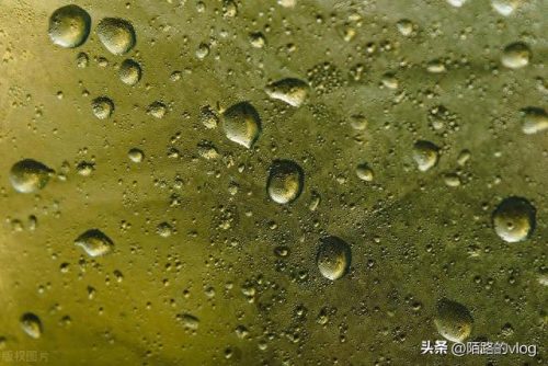 正规防水行业排名前十(蓝盾防水排名前十名)插图2
