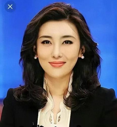 内地十大女主持人排行榜(国内公认十大女主持人)插图