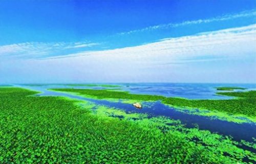 湖北湖泊排名前十(湖北十大湖泊面积排名)插图1