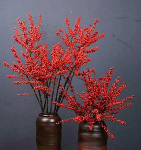 十大名贵花卉排行榜及图片(勉县名贵花卉)插图14