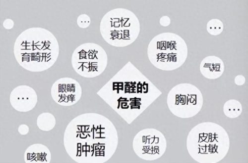 全国除甲醛排名前十(除一次甲醛多少钱)插图1