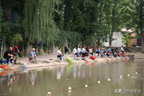 运城钓鱼地点排名前十(运城钓鱼最佳地点)插图4