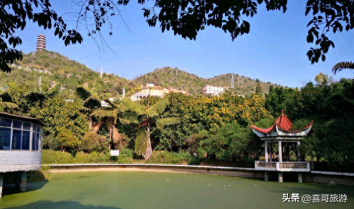 云南琵琶景点排名前十(云南人气最高的景点是)插图7