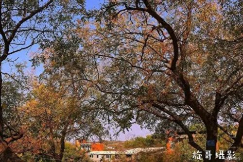 随州地区景点排名前十(随州烧烤十大排名)插图18