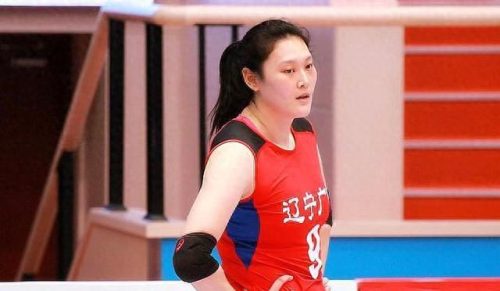 女排十大人物排行榜顺序(女排十大催泪故事)插图2