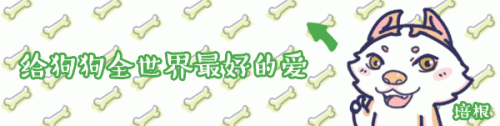 大牌婴儿梳子排名前十(不建议用银梳子)插图