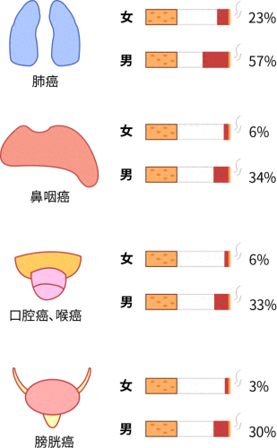 世界十大致癌物排行榜(世界十大致癌物排名)插图5