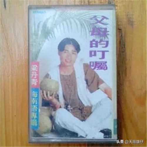 公认十大海南语金曲排行榜(海南话流行歌曲推荐)插图