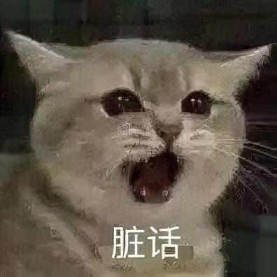 表情包猫咪十大排行榜(十大猫咪颜值大排名)插图16