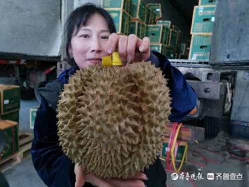 榴莲销量城市排名前十(最近榴莲销量)插图1