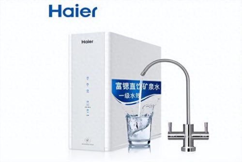 国际十大净水器品牌排行榜(全球十大净水器排名哪个牌子好)插图4