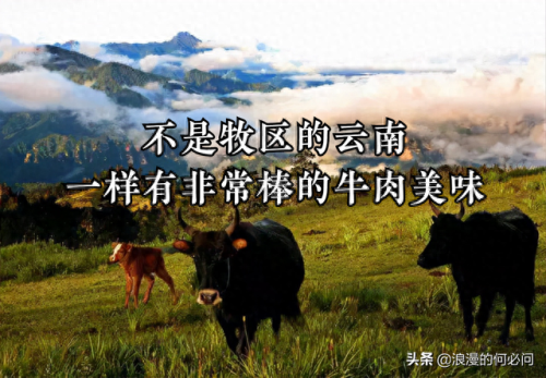 云南排名前十的大厨(云南排名第一鲜花饼)插图