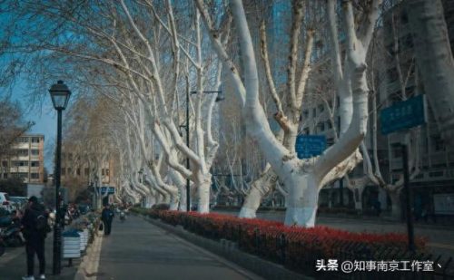 南京衣服商场排名前十(南京最大的百货商场是)插图25