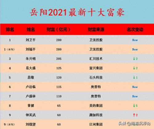 岳阳十大老板排行榜最新(岳阳十大富豪排名表)插图12