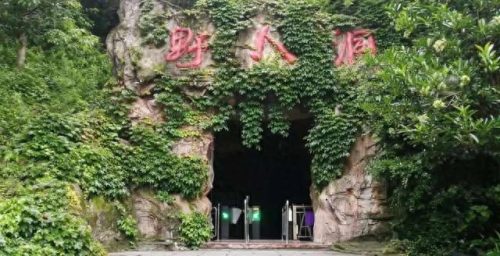 十堰游玩景点排名前十(十堰网红银杏景点)插图4