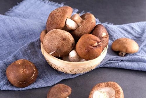 十大低热量蔬菜排行榜最新(蔬菜和鸡蛋哪个热量高)插图5