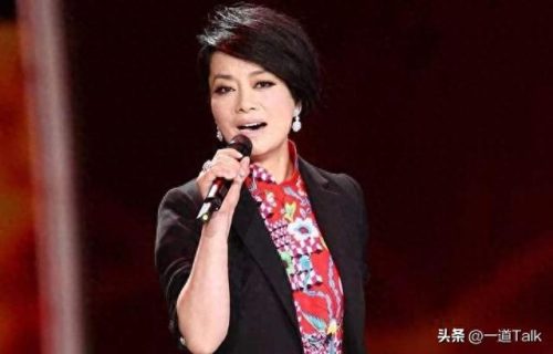 国内十大女中音演员排行榜(十大唱功最好的女明星)插图7