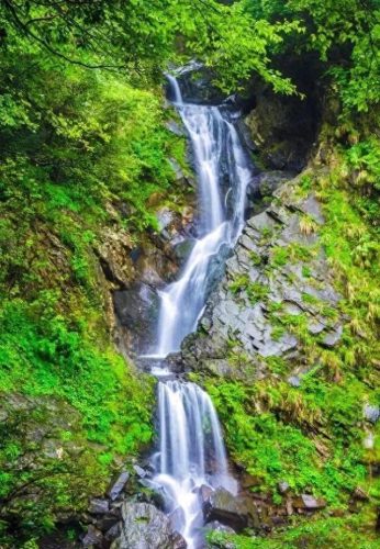 合肥周边茶山排名前十(六大茶山品牌的茶怎么样)插图11