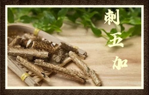 补气血最贵药材排行榜十大(女人气血不足用什么药材泡酒)插图8