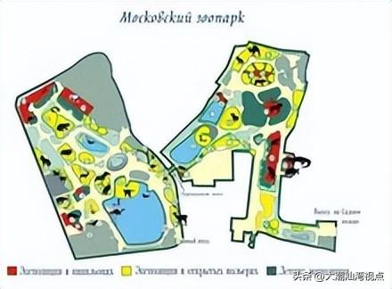 美国十大动物园排行榜(全球十大动物园排名)插图4