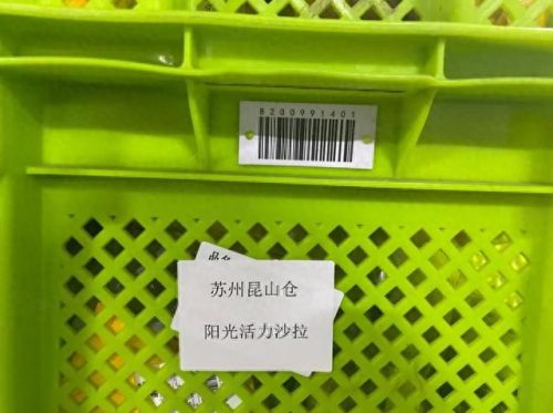 蔬菜公司十大排行榜图片(蔬菜配送公司联系方式)插图7