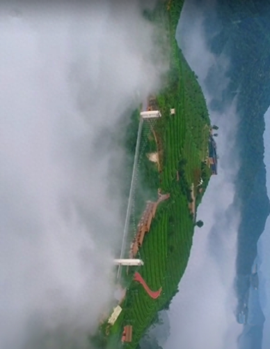 平和乡村景点排名前十(平和东坑附近景点)插图4
