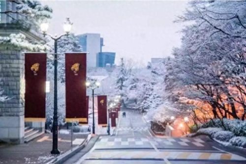 韩国前十大学美食排行榜(韩国美食大学食堂)插图5