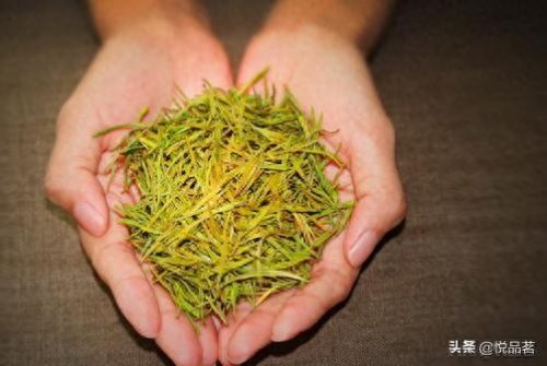 安吉白茶十大高端品牌排行榜图片(安吉老白茶哪款更好)插图2