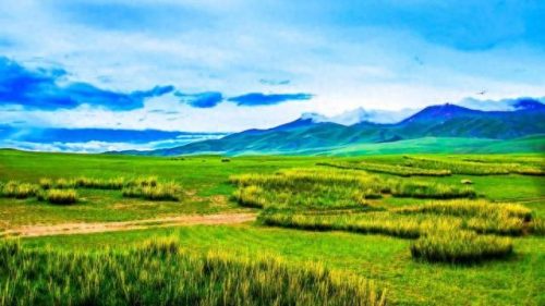 新疆野外牧场排名前十(美丽的新疆南山牧场400字)插图7