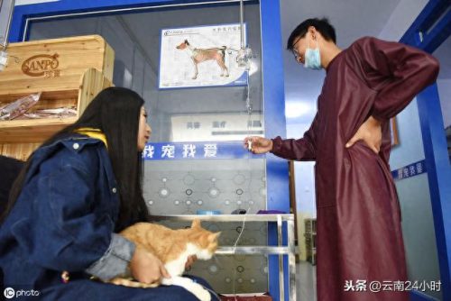 昆明狗狗诊所排名前十(昆明小型诊所)插图4