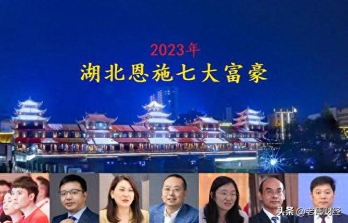 恩施实体企业排名前十(中国实体企业排名)插图