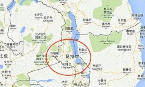 今天世界疫情排名前十(全世界今天新疫情排名)插图14